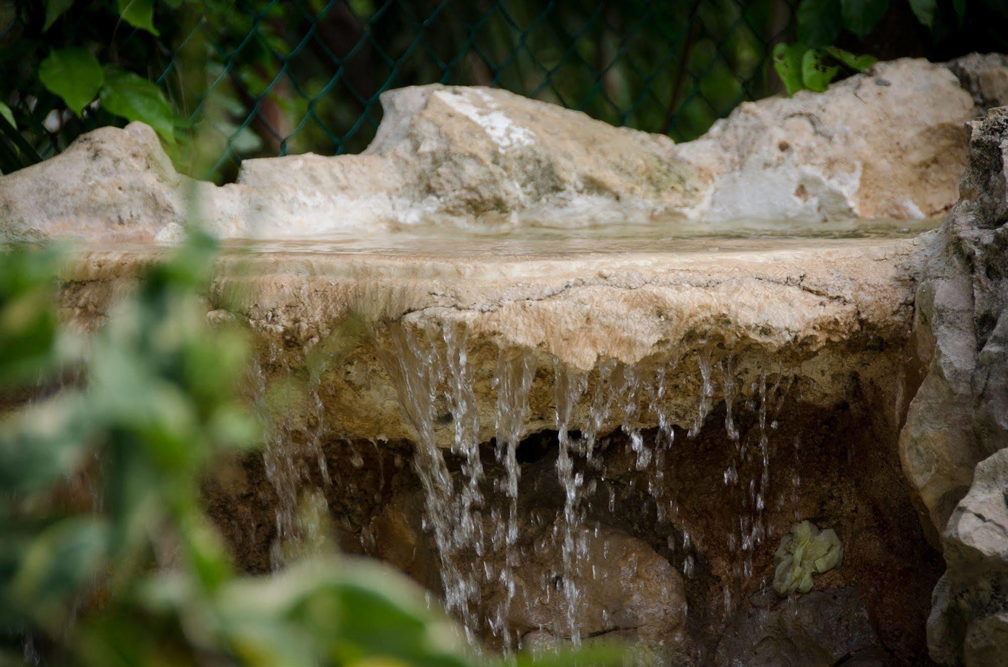 Green Oasis Home Boutique Playa del Carmen Esterno foto