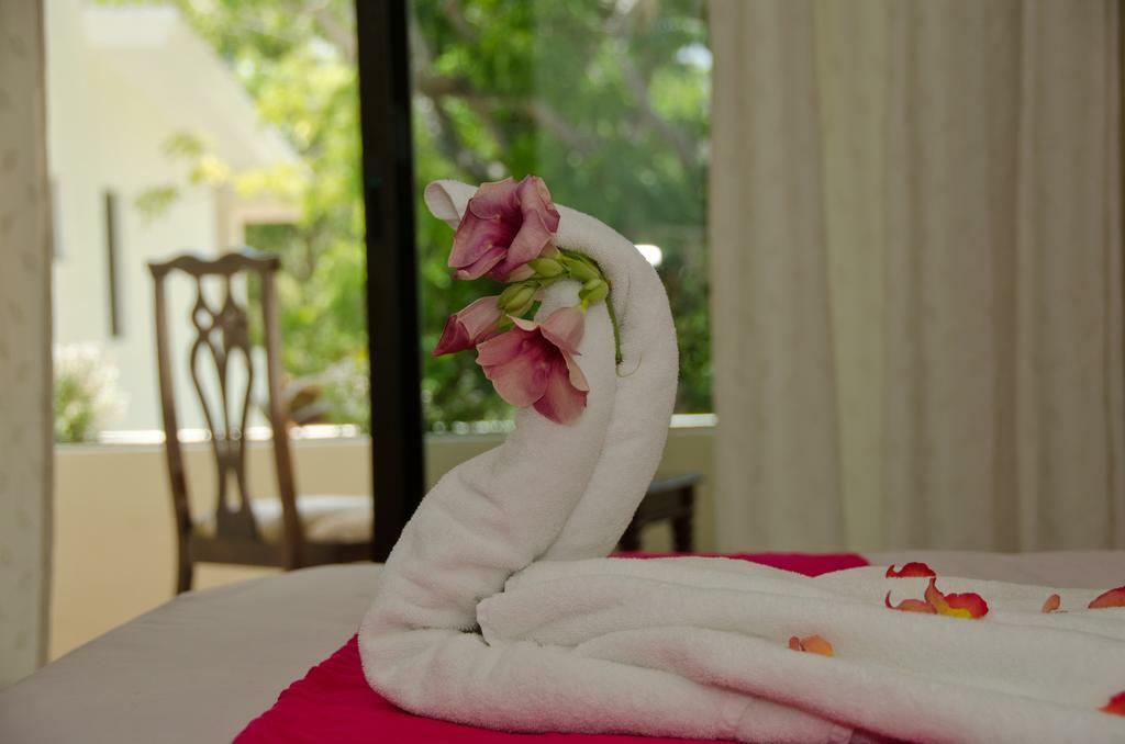 Green Oasis Home Boutique Playa del Carmen Esterno foto